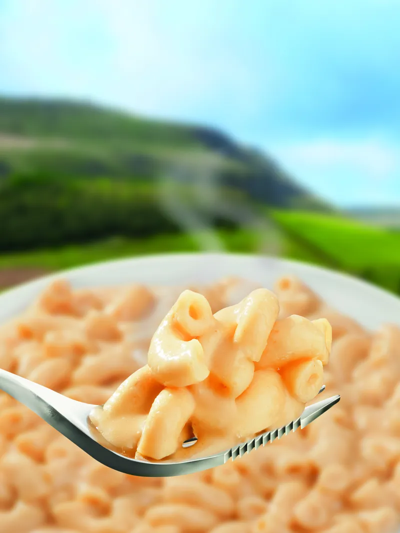 Wayfayrer Mac and Cheese-1